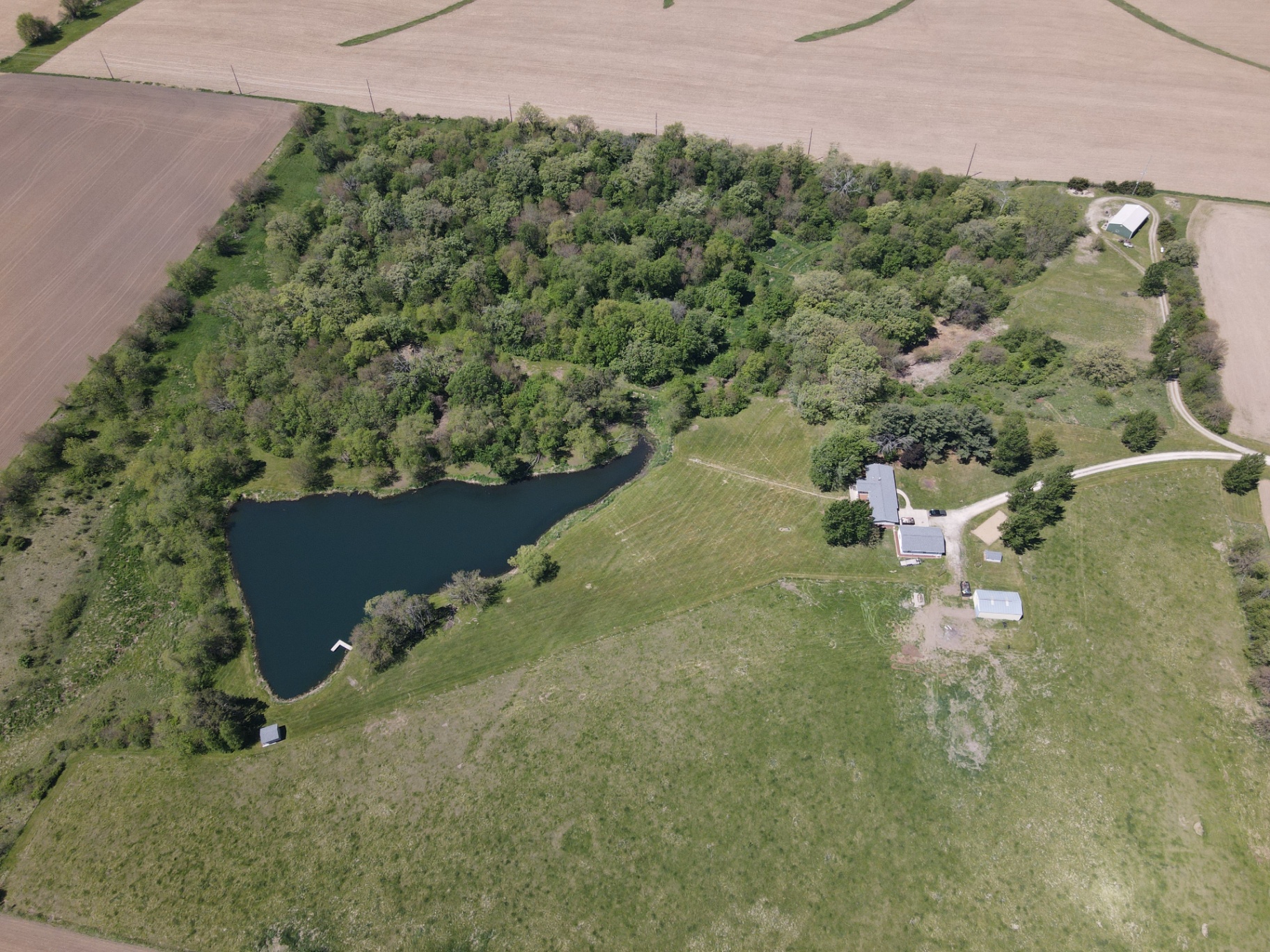 Spring-fed pond and woodland from above
